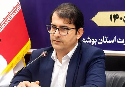 کشاورز: سرمایهگذاری در حوزه صنعت استان بوشهر افزایش یافت