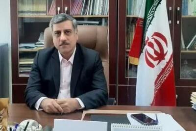 ۳۴ مزرعه الگویی کشاورزی در استان بوشهر جانمایی و راه اندازی شد