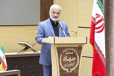  خرید تضمینی گندم در همدان از مرز ۱۹۳ هزار تن گذشت