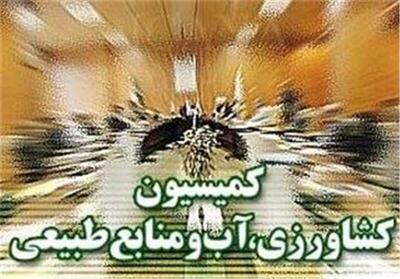  پیگیری سازوکار پرداخت مطالبات گندم‌کاران در کمیسیون کشاورزی مجلس