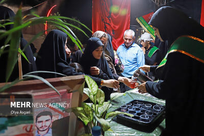  آغاز ثبت‌نام مواکب «دلدادگان حسینی» در قزوین