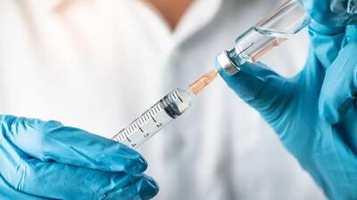 پنیر کهنه و تقویت واکسن؛ آیا یک ترکیب طبیعی می تواند سیستم ایمنی سالمندان را جوان تر کند؟