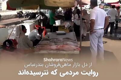 گزارش شهرآرانیوز از بازار ماهی فروشان بندرعباس در روزهای جنگ | روایت مردمی که نترسیدهاند