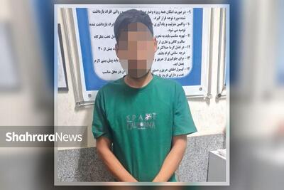 سرقت با شگردی پیش پا افتاده | جنس دزدی پس گرفته شد