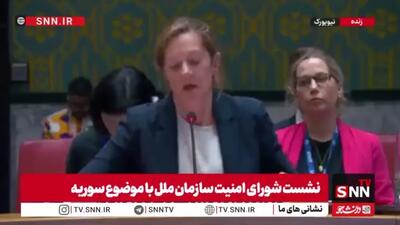 نماینده انگلیس نیز مثل آمریکا به اتهامی بی پایه علیه ایران پرداخت: حملات منتسب به ایران علیه سوریه را محکوم میکنیم