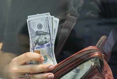  ارز مسافرتی و این همه حاشیه/ از فشار برخی نمایندگان مجلس برای حذف دلار مسافرتی تا نقره‌داغ شدن کسانی که بلیتشان را کنسل می‌کنند!