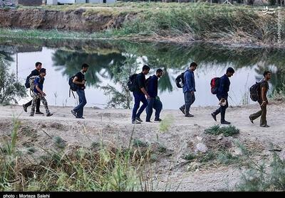  رونمایی از سفرنامه «نمک، خرما، توت» در تبریز؛ روایتی متفاوت از اربعین - تسنیم