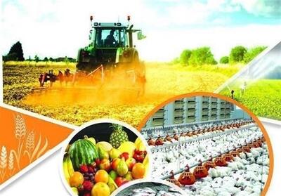 آغاز کارگاههای کارآفرینی و اشتغالزایی زنان روستایی مازندران - تسنیم