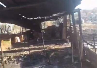  صهیونیست‌ها اموال کشاورزان فلسطینی را به آتش کشیدند - تسنیم