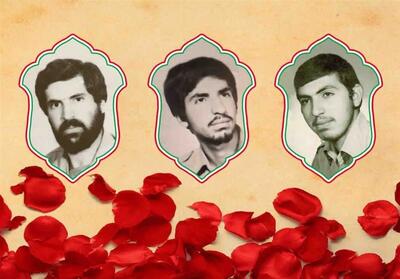  مادر 3 شهید البرزی به فرزندان آسمانی‌اش پیوست - تسنیم