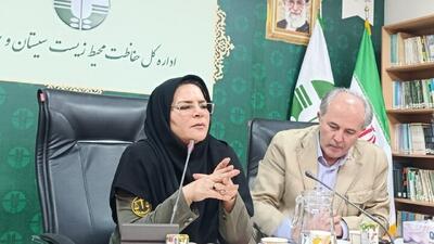 اختلاف ارتفاع افغانستان و سیستان؛ عامل پنهان تشدید ریزگردها