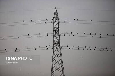  هوای شوش در وضعیت «قرمز»