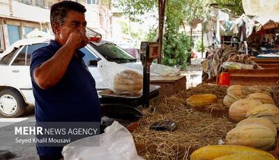 جریان زندگی در مثبت ۵۰ درجه