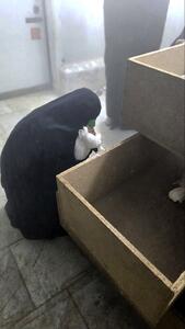 عکس/ خداحافظی آخر پدرومادرهای مینابی، با اعضای باقیمانده از فرزندانشان