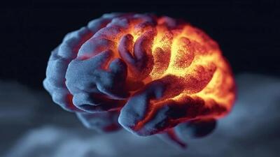 این پروتئین از مغز در برابر آلزایمر محافظت میکند