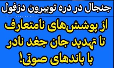  تصاویر منتشر شده از یک تور گردشگری خبرساز شد