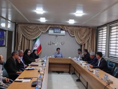  فرماندار اردبیل: پیشگیری از خودکشی نیازمند هم‌افزایی دستگاه‌ها و نقش‌آفرینی سمن‌های تخصصی است