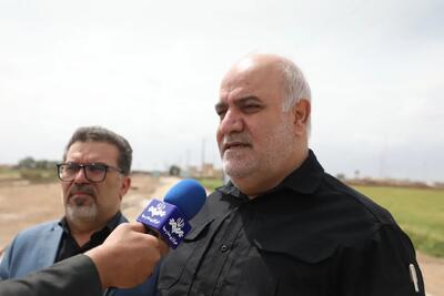  تا کنون ۱۱۵ هزار زایر اربعین از مرزهای خوزستان عازم عتبات عالیات شدند