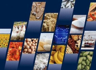 ثبت سفارش واردات 110 قلم کالای کشاورزی - اکونیوز