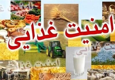  امنیت غذایی بدون انرژی ممکن نیست - سایت خبری اقتصاد پویا