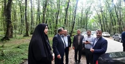  ثبت جهانی گیسوم تالش نیازمند ساماندهی و استقرار مناسب دستفروشان است