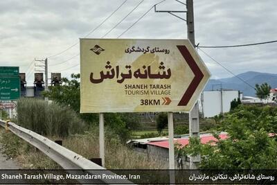  فیلم| واکاوی نقش تعیین‌کننده تعاون روستایی در ثبت جهانی شانه تراش