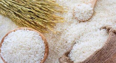 لازمه دستیابی به خودکفایی برنج چیست؟ | جهان نیوز