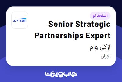  استخدام Senior Strategic Partnerships Expert در ازکی وام