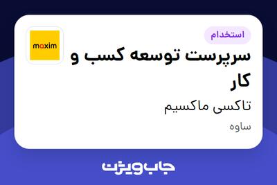  استخدام سرپرست توسعه کسب و کار در تاکسی ماکسیم