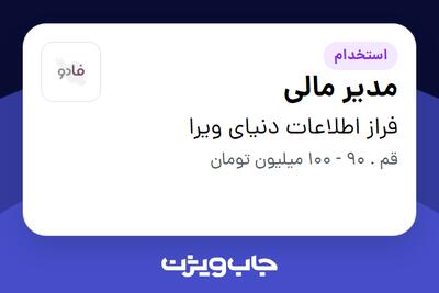استخدام مدیر مالی در فراز اطلاعات دنیای ویرا