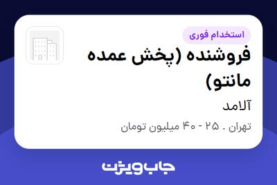  استخدام فروشنده (پخش عمده مانتو) - خانم در آلامد