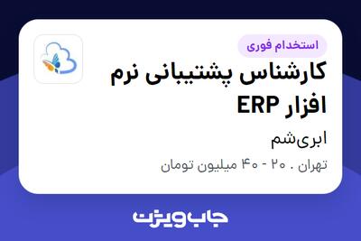  استخدام کارشناس پشتیبانی نرم افزار ERP در ابری‌شم