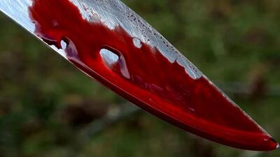  حمله شبانه به یک پاکبان