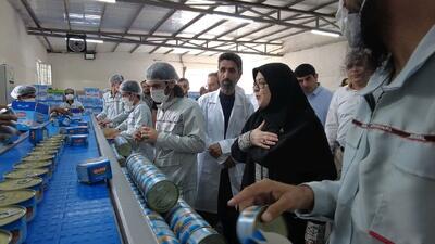 باحضور سخنگوی دولت؛ دهمین کارخانه تولید تن ماهی در کنارک به افتتاح شد