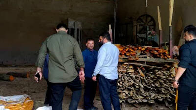 ۲ خریدار چوب قاچاق در آمل بازداشت شدند