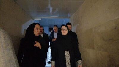  بازدید سخنگوی دولت از بیمارستان امام علی(ع) چابهار