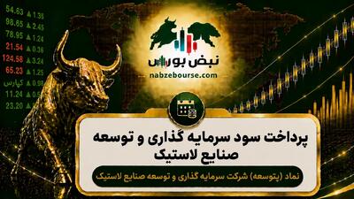 سود پتوسعه ۱۴۰۵ کی واریز میشود و چقدر است؟