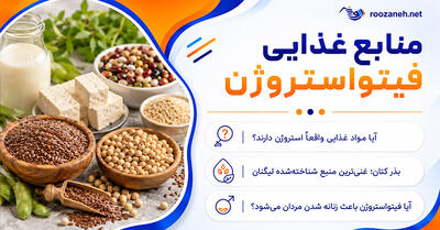منابع غذایی فیتواستروژن؛ معرفی خوراکیهای گیاهی سرشار از این ترکیبات؛ از سویا تا بذر کتان