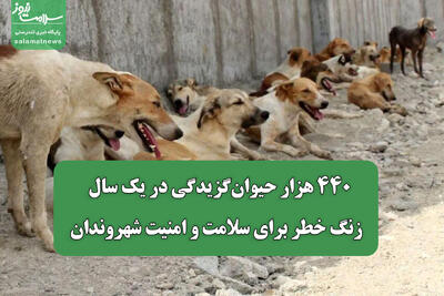 ۴۴۰ هزار حیوانگزیدگی در یک سال / زنگ خطر برای سلامت و امنیت شهروندان