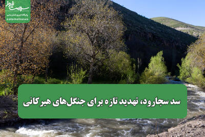 سد سجارود، تهدید تازه برای جنگلهای هیرکانی