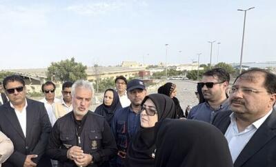 سخنگوی دولت: چابهار با قدرت بازسازی میشود