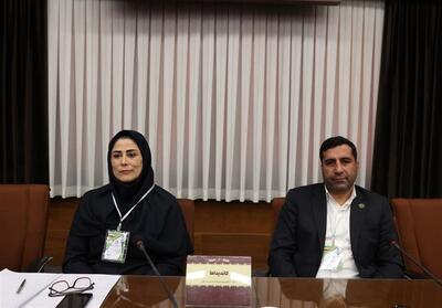 انتخابات فدراسیون اسکیت به دور دوم کشیده شد - تسنیم