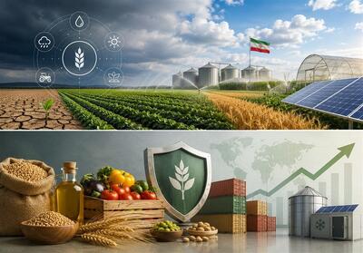 اقتصاد مقاومتی؛ وقتی یارانه هوشمند، امنیت غذایی را بیمه میکند - تسنیم