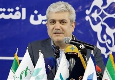  ستاری: گره هوشمندسازی انرژی در ایران «داده» است، نه کنتور هوشمند - تسنیم