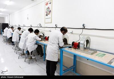 اجرای بیش از 85 هزار طرح اشتغالزایی در کشور - تسنیم