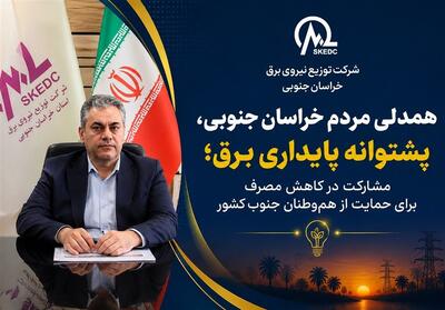  همدلی مردم خراسان جنوبی، ضامن پایداری شبکه برق در روزهای گرم شد - تسنیم