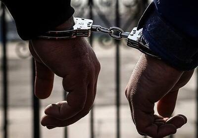  دستگیری 9 متهم به اتهام تشویش اذهان عمومی در استان کرمان - تسنیم