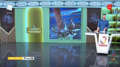  افرادی که به پرورش میگو علاقه‌مند هستند باید چه کنند؟ + فیلم