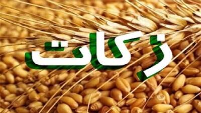  افزایش ۲/۵ برابری پرداخت زکات در نقده
