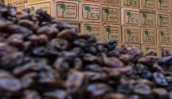  قیمت هر کیلو خرمای مضافتی به ۲۴۰ هزار تومان رسید